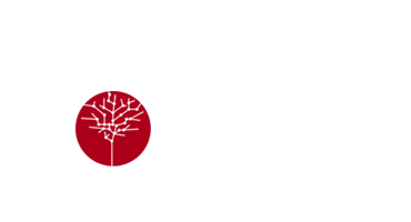 Μέλος ΕΕΤΤ